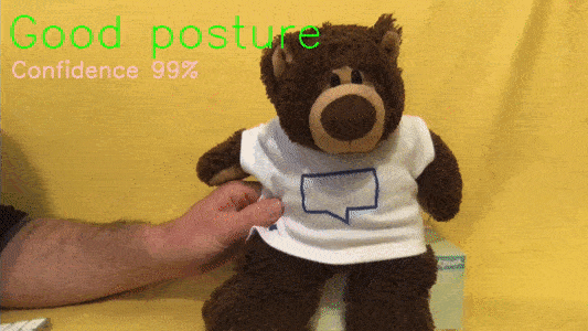 Real-time posture monitoring — as demonstrated with a teddy bear