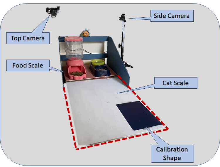 Diagram indicting two scales and camera placement
