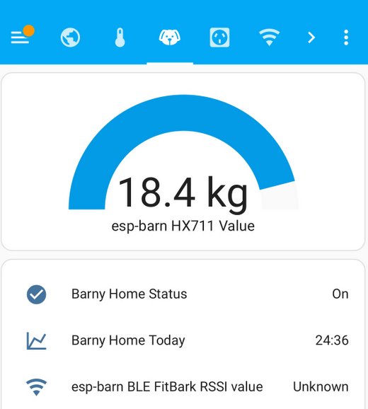 Home assistant dashboard